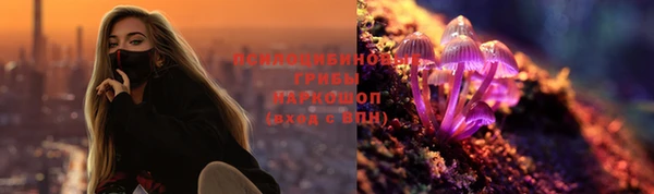 крисы Алзамай