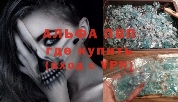 крисы Алзамай