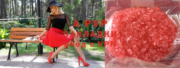крисы Алзамай