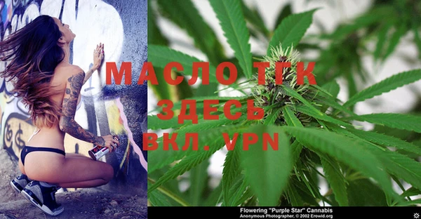 Альфа ПВП Няндома