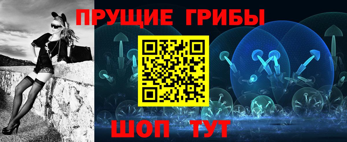Псилоцибиновые грибы GOLDEN TEACHER Архангельск