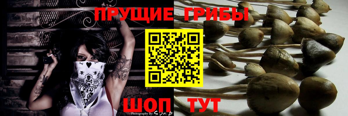 Галлюциногенные грибы Cubensis  Вход с VPN  Архангельск 